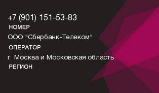 9011515383
